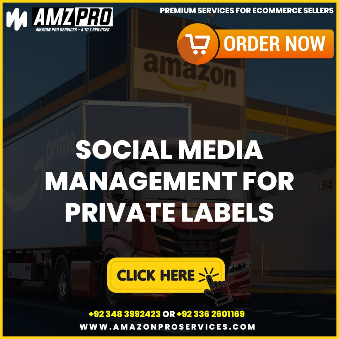 Social Media Management for Amazon Stores