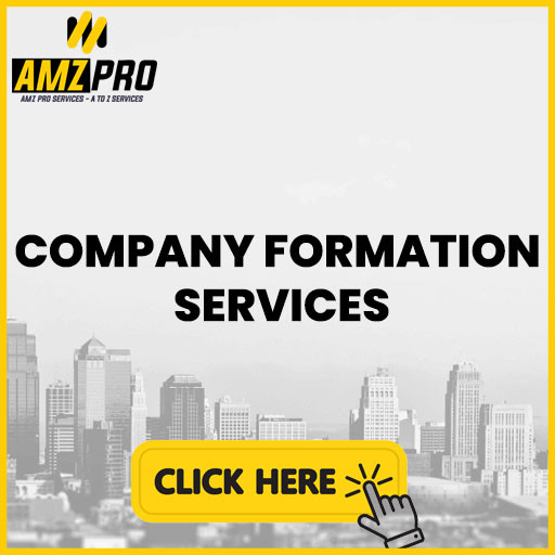COMPANY FORMATION SERVICES