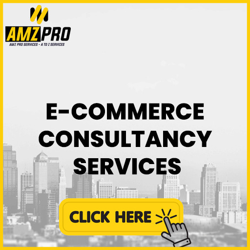 ECOMMERCE CONSULTANCY SERVICES