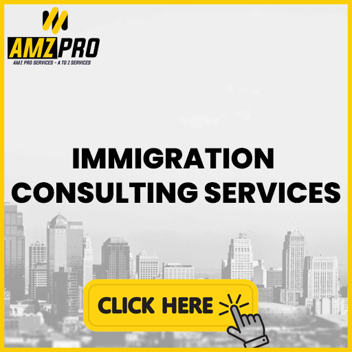 IMMIGRATION CONSULTING SERVICES